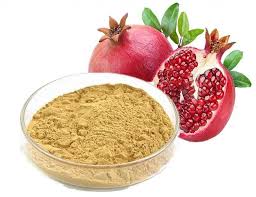Pomegranate Powder 2